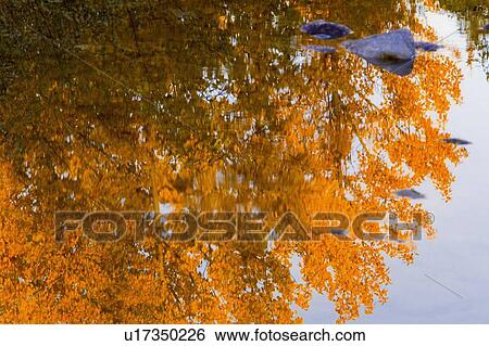 Stock Photograph - Autumn reflections. Fotosearch