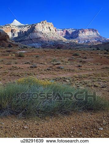 Barren landscape of the Waterpocket Fold, Capitol Reef National Park View Large Photo Image Stock Photo - Barren landscape of the Waterpocket Fold, Capitol Reef National Park. Fotosearch