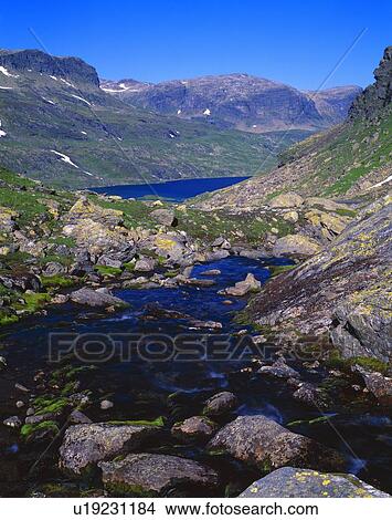Picture - Barren Norwegian scene with stream. Fotosearch