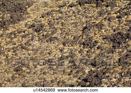 Stock Photo - Basalt lava rock escarpment. Fotosearch