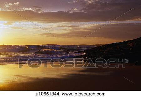 Beach, waves, and sky in golden light. View Large Photo Image Picture - Beach, waves, and sky in golden light.. Fotosearch