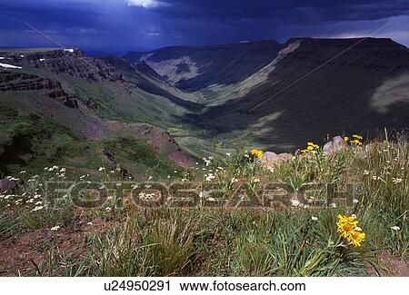 Blooming flowers, distant storm over Keiger Gorge View Large Photo Image Stock Image - Blooming flowers, distant storm over Keiger Gorge. Fotosearch