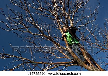 Boy standing in tree View Large Photo Image Stock Image - Boy standing in tree. Fotosearch