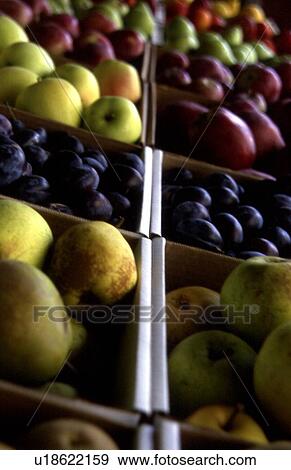 Closeup of produce View Large Photo Image Stock Photo - Closeup of produce. Fotosearch