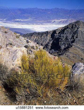 Death Valley, seen from western rim, Death Valley National Park View Large Photo Image Stock Image - Death Valley, seen from western rim, Death Valley National Park. Fotosearch