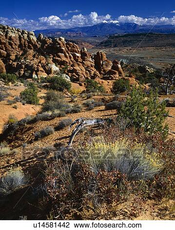 Stock Image - Desert landscape, Fiery Furnace rock formations, Arches National Park. Fotosearch