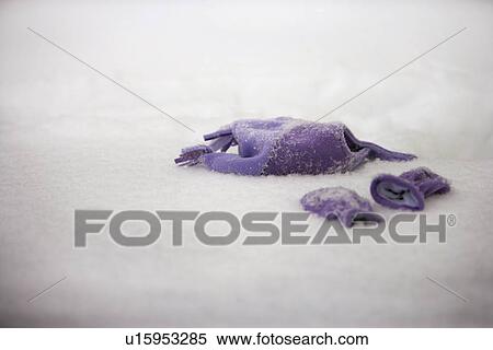 Stock Photography - Deserted hat and mittens on winter snow. Fotosearch