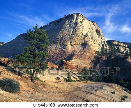 Stock Photo - Distinctive Checkerboard Mesa, Zion National Park. Fotosearch