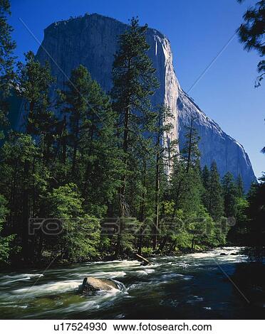 El Capitan and the Merced River, Yosemite National Park View Large Photo Image Stock Image - El Capitan and the Merced River, Yosemite National Park. Fotosearch