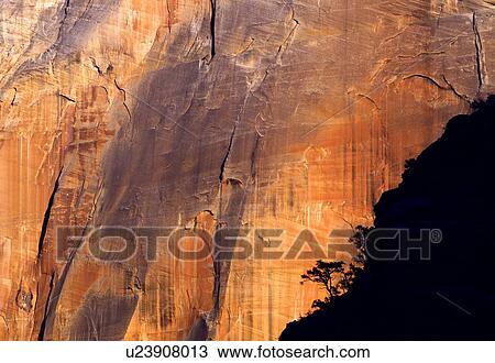 Face of Cable Mountain with tree silhouette, Zion National Park View Large Photo Image Stock Image - Face of Cable Mountain with tree silhouette, Zion National Park. Fotosearch