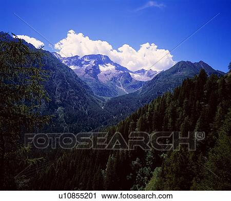 Stock Image - Forested slopes and mountain peaks in the Italian Alps. Fotosearch