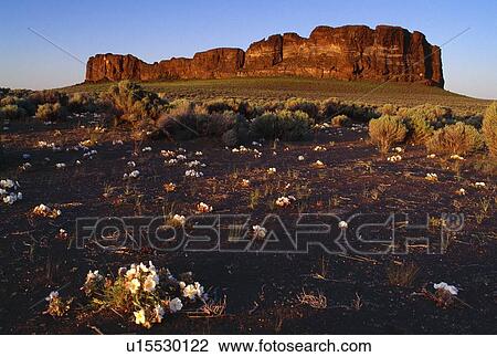 Fort Rock, Fort Rock State Park View Large Photo Image Stock Image - Fort Rock, Fort Rock State Park. Fotosearch