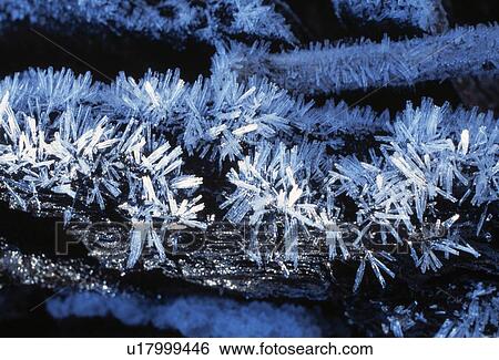Hoar Frost View Large Photo Image Stock Photograph - Hoar Frost. Fotosearch