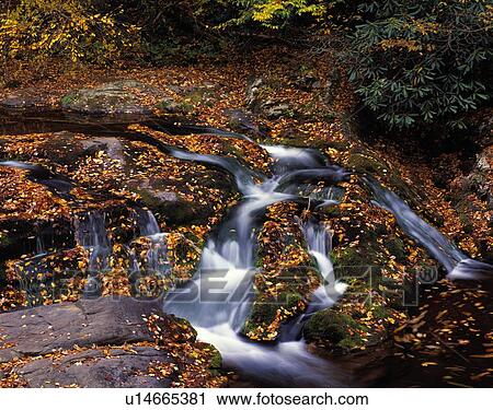 Stock Image - Little River cascades and fallen autumn leaves, Great Smoky Mountains National Park. Fotosearch