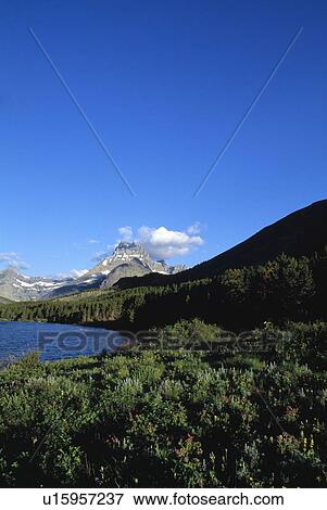 Stock Photo - Mountain lake with vegetation. Fotosearch