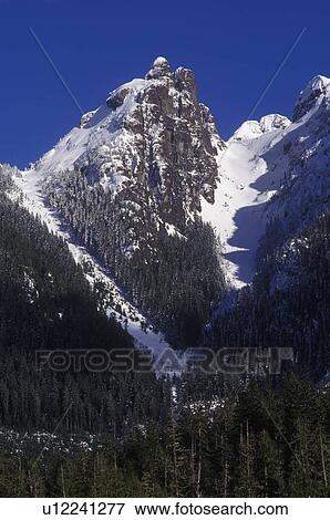 Stock Photo - Mountain peaks and forest. Fotosearch