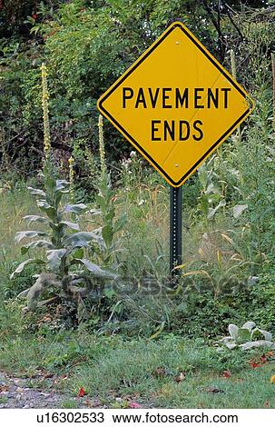 Overgrown road sign View Large Photo Image Stock Image - Overgrown road sign. Fotosearch
