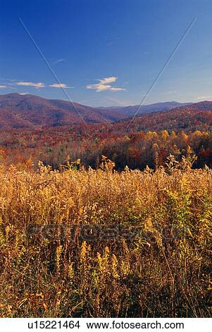 Picture - Pisgah National Forest in Autumn. Fotosearch