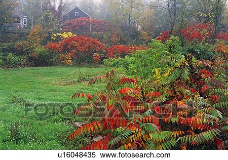 Quiet meadow in autumn View Large Photo Image Stock Photography - Quiet meadow in autumn. Fotosearch