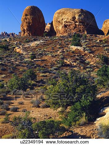 Redrock desert landscape, Arches National Park View Large Photo Image Picture - Redrock desert landscape, Arches National Park. Fotosearch