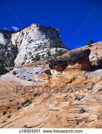Stock Image - Redrock landscape, Zion National Park. Fotosearch