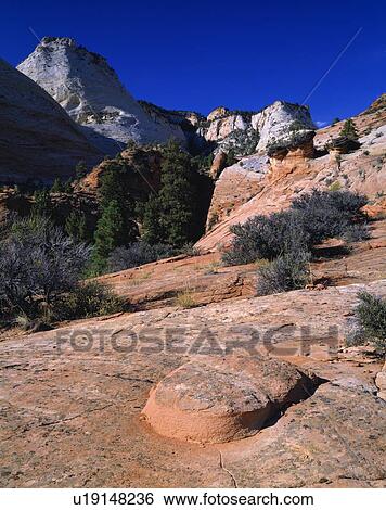 Stock Photograph - Redrock landscape, Zion National Park. Fotosearch