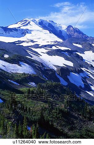 Ridge of Wonders, Mount Adams Wilderness View Large Photo Image Stock Image - Ridge of Wonders, Mount Adams Wilderness. Fotosearch