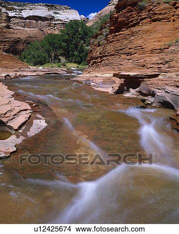 Picture - River flowing over redrocks, Canyon del Muerto, Canyon de Chelly National Monument. Fotosearch