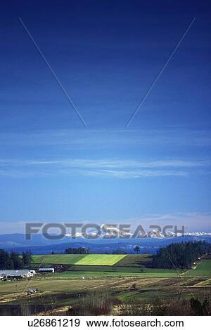 Saanich Peninsula with Guld Islands and Mt. Baker background View Large Photo Image Stock Photo - Saanich Peninsula with Guld Islands and Mt. Baker background. Fotosearch