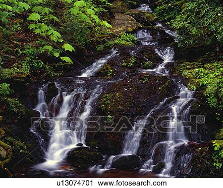 Seasonal waterfall and spring foliage View Large Photo Image Stock Image - Seasonal waterfall and spring foliage. Fotosearch