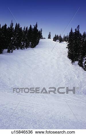 Ski hill View Large Photo Image Stock Photograph - Ski hill. Fotosearch