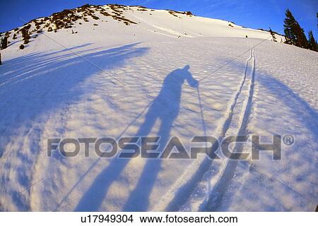 Skier's shadow in alpenglow, Diamond Peak View Large Photo Image Picture - Skier's shadow in alpenglow, Diamond Peak. Fotosearch