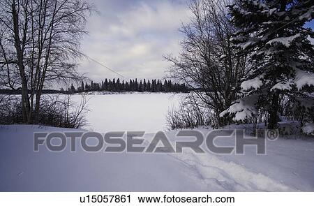 Stock Image - Snowy landscape. Fotosearch