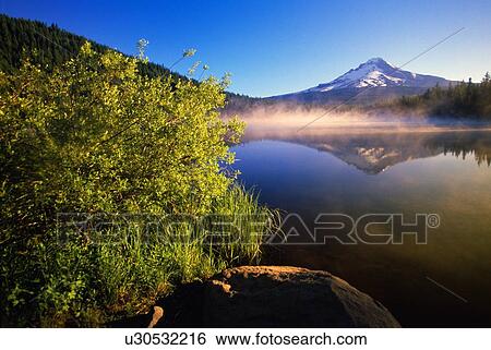 Sunrise fog on Trillium Lake, reflection of Mount Hood View Large Photo Image Stock Photograph - Sunrise fog on Trillium Lake, reflection of Mount Hood. Fotosearch