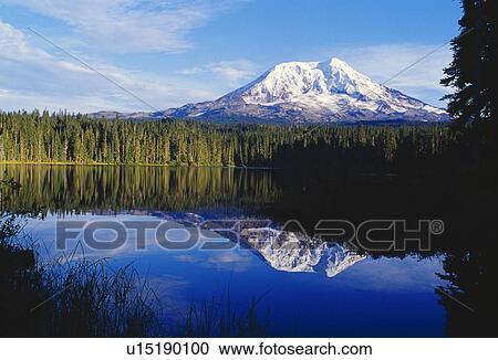 Takhlakh Lake, Mount Adams reflection, Gifford Pinchot National Forest View Large Photo Image Stock Image - Takhlakh Lake, Mount Adams reflection, Gifford Pinchot National Forest. Fotosearch