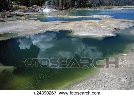 Stock Photo - Thermal Spring, Norris Geyser Basin, Yellowstone National Park. Fotosearch