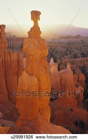 Thor's Hammer, Bryce Canyon National Park View Large Photo Image Stock Photograph - Thor's Hammer, Bryce Canyon National Park. Fotosearch
