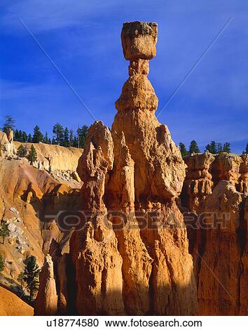 Thor's Hammer rock formation, Bryce Canyon National Park View Large Photo Image Stock Image - Thor's Hammer rock formation, Bryce Canyon National Park. Fotosearch