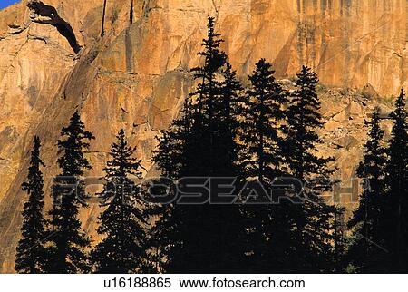 Tree silhouettes in front of cliff face View Large Photo Image Stock Photography - Tree silhouettes in front of cliff face. Fotosearch