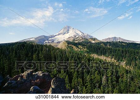 View of Mount Hood from Cloud Cap, Mount Hood Wilderness View Large Photo Image Picture - View of Mount Hood from Cloud Cap, Mount Hood Wilderness. Fotosearch