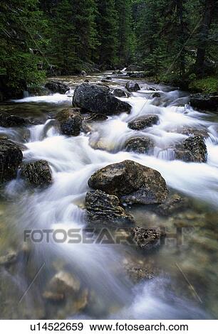 Water moving through forest creek View Large Photo Image Stock Photo - Water moving through forest creek. Fotosearch