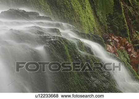 Water streaming over a vegetative landscape View Large Photo Image Stock Photo - Water streaming over a vegetative landscape. Fotosearch