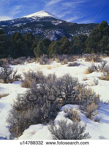 Winter scene, Wheeler Peak, Great Basin National Park View Large Photo Image Stock Image - Winter scene, Wheeler Peak, Great Basin National Park. Fotosearch