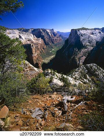 Zion Canyon, view from east rim, Zion National Park View Large Photo Image Stock Photo - Zion Canyon, view from east rim, Zion National Park. Fotosearch