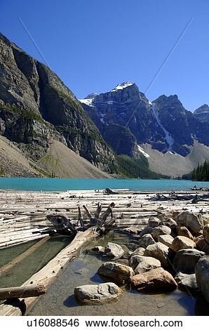 A mountain lake with driftwood View Large Photo Image Stock Photograph - A mountain lake with driftwood. Fotosearch
