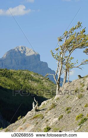A mountain scene View Large Photo Image Stock Photography - A mountain scene. Fotosearch