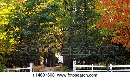 A scenic autumn property View Large Photo Image Stock Photo - A scenic autumn property. Fotosearch