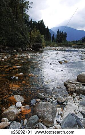 Stock Image - A scenic mountain stream. Fotosearch