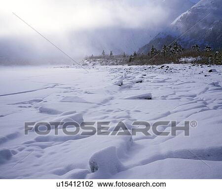 Stock Image - A winter scene. Fotosearch