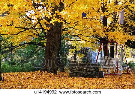 Stock Image - An autumn back yard. Fotosearch